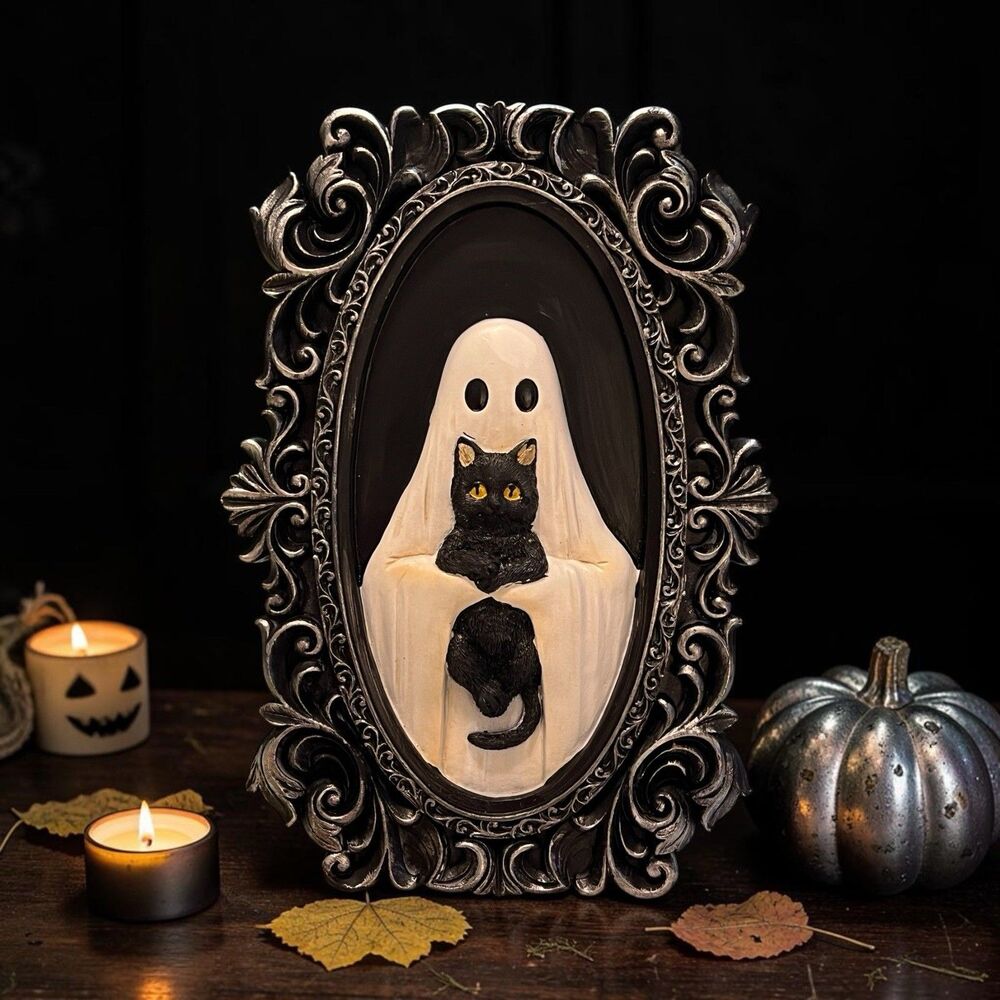 Gothic Ghost With  Black Cat 3D Relief Ornate Silver Frame Halloween Decor